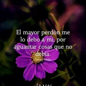 Meet your Posher, Luz edia